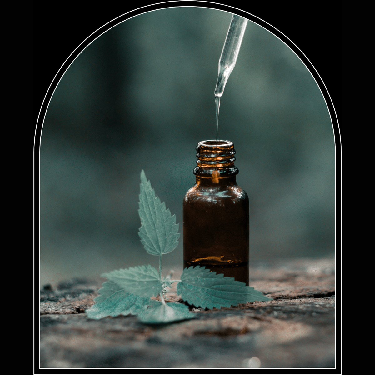 Perfumes, Ritual & Intention Oil Blends