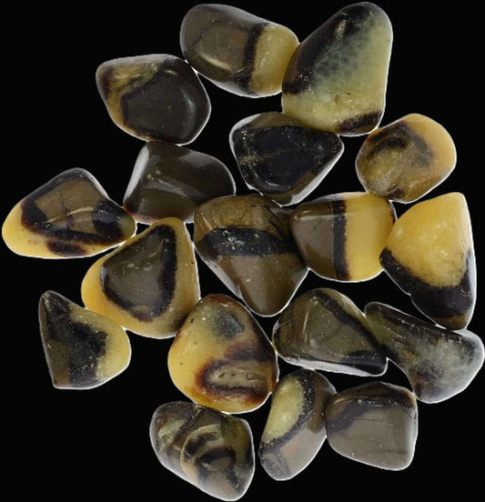 Septarian Tumbled - Spiral Rain