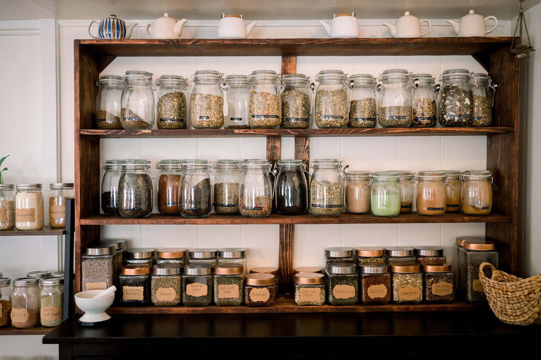 Herbalism Basics: Learning About Plant Medicine