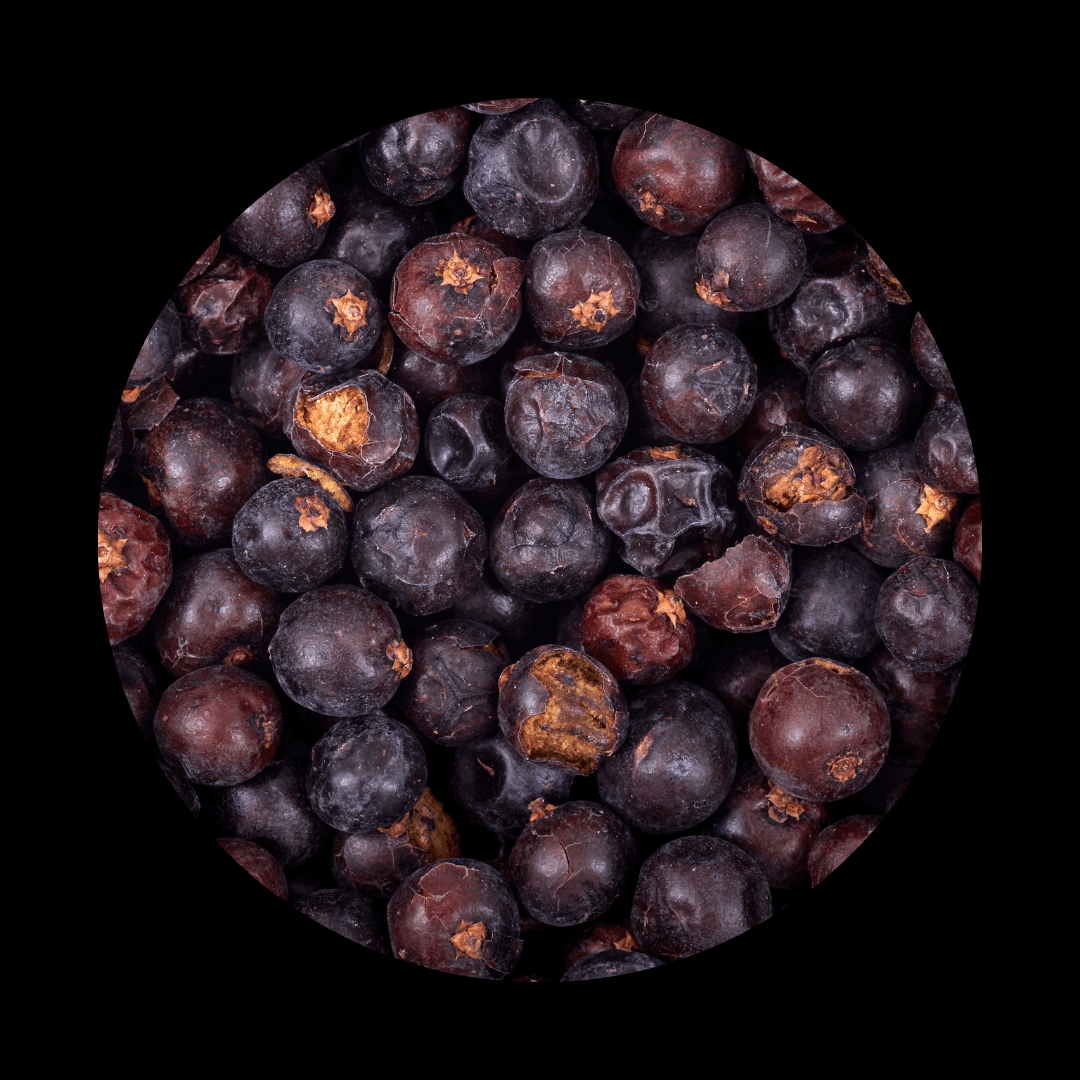 Juniper Berries