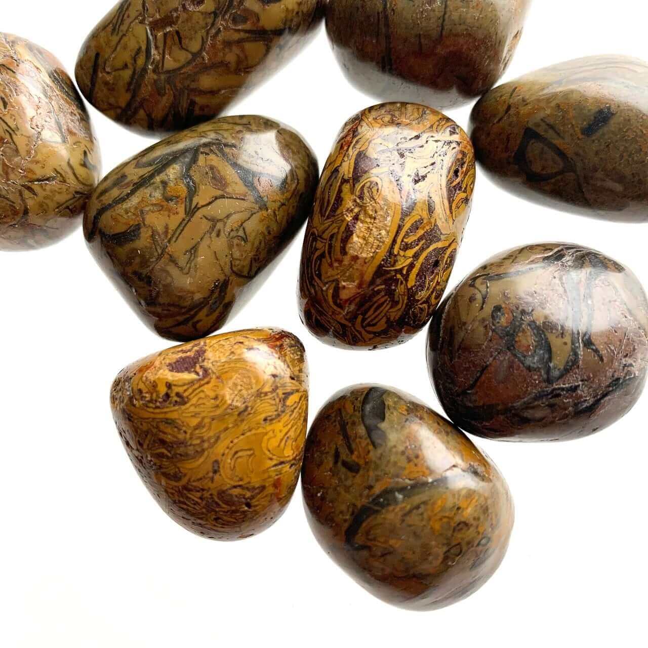 Jasper Snakeskin Tumbled Small at $1 only from Spiral Rain