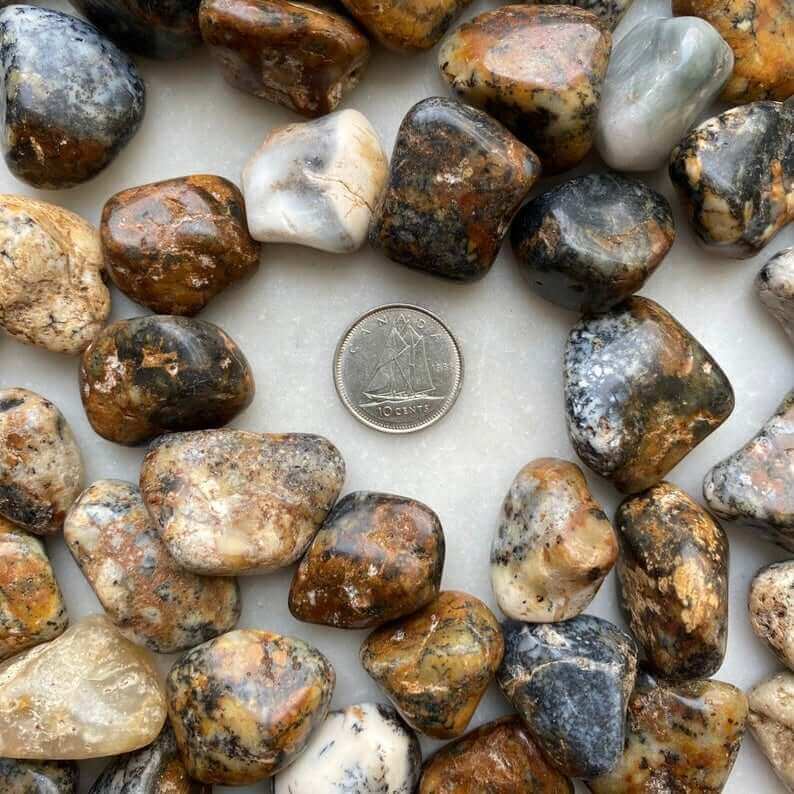 Dendritic Agate Tumbled at $3 only from Spiral Rain