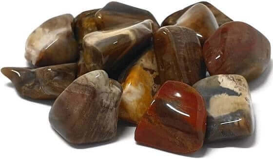 Petrified Wood Tumbled at $3 only from Spiral Rain