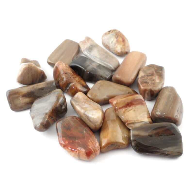 Petrified Wood Tumbled at $3 only from Spiral Rain