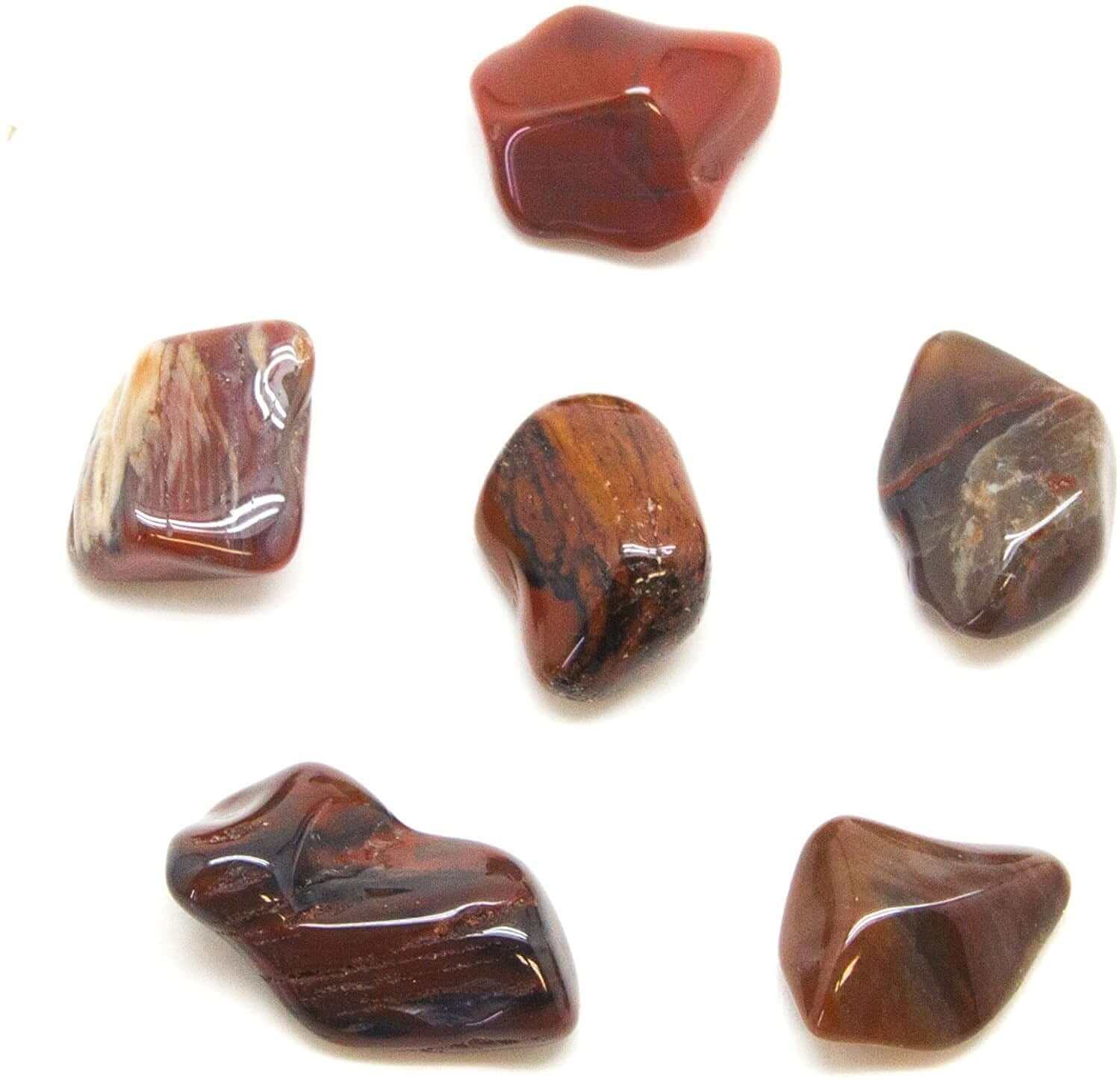 Petrified Wood Tumbled at $3 only from Spiral Rain