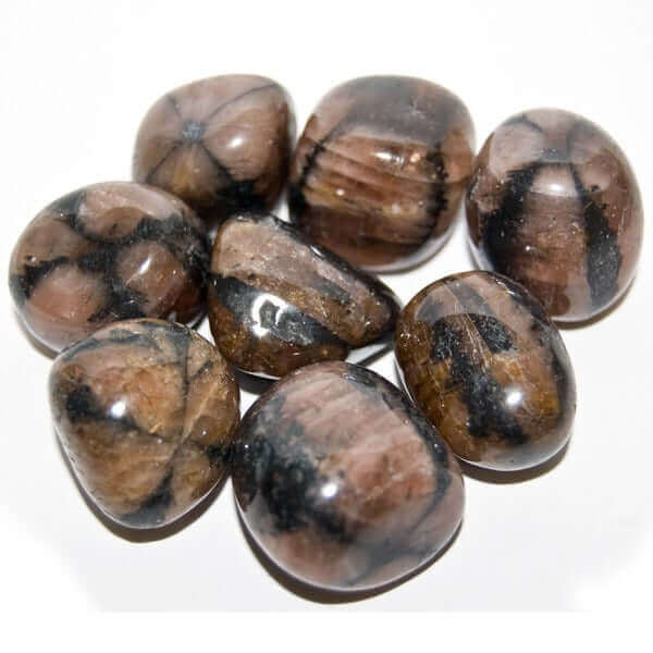 Chiastolite Tumbled at $6 only from Spiral Rain
